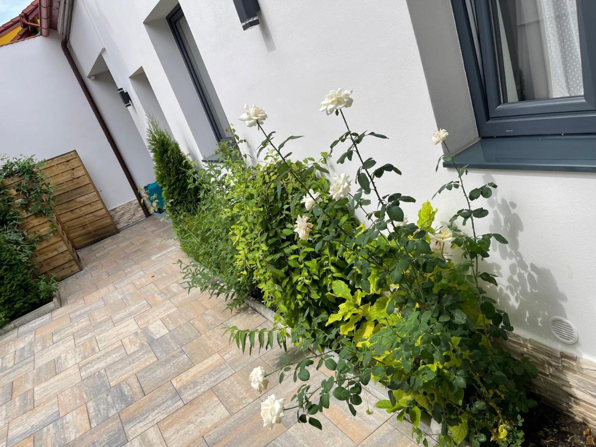 Mani Studio Sibiu Exterior photo